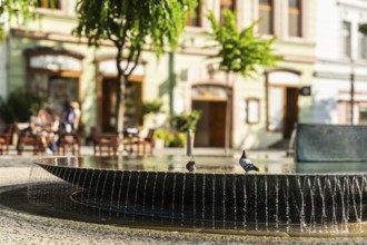 Mark Aurel fountain and fountain on Peace Square, Capital of Culture 2026, Trencín, Slovakia