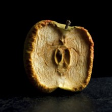 A half apple displays its dried, wrinkled surface with unique textures and patterns. The apple sits