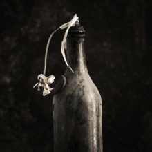 A faded tulip is elegantly positioned in an old bottle, showcasing its delicate petals. The