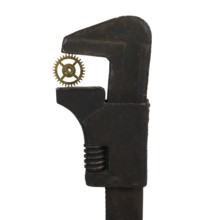 A rusty spanner holds a delicate watch cog in its jaws, showcasing a unique contrast between rugged