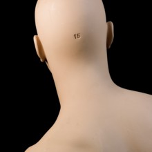 This exhibit features the head of a man dummy showcasing a clear numbered marking on the back. It