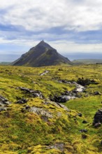 Barren moss-covered volcanic landscape, cone-shaped mountain Stapafell, Arnarstapi, Snæfellsjökull