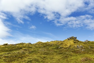 Volcanic rock, overgrown with moss, sparse vegetation, volcanic landscape, cumulus, text free