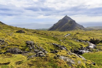 Barren moss-covered volcanic landscape, cone-shaped mountain Stapafell, Arnarstapi, Snæfellsjökull