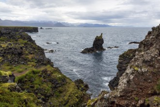 Bizarre rocky coast with rock needle, south coast, Arnarstapi, Faxafloi, Snæfellsnes peninsula,