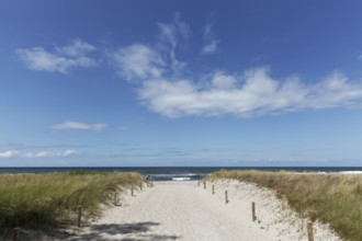 Beach access through dunes, sandy path, blue sky, Kühlungsborn, Baltic Sea, Mecklenburg-Western
