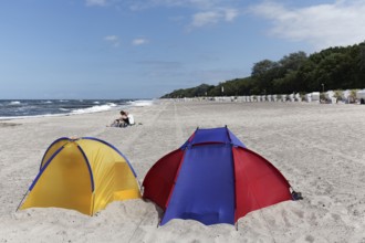 Two colourful beach shells, blue sky, Baltic Sea beach near Kühlungsborn, Mecklenburg-Western