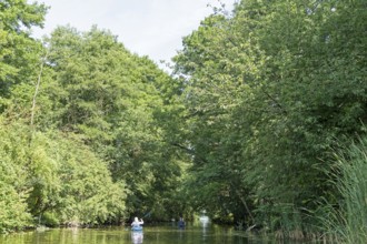 Canal between Leppinsee and Woterfitzsee, canoes, trees, Müritz National Park, Mecklenburg Lake