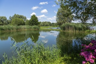 Fish ponds, Fischers Land Boek, Mecklenburg Lake District, Mecklenburg-Western Pomerania, Germany
