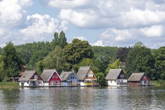 Boathouses, holiday homes on Lake Mirow, Mirow, Mecklenburg Lake District, Mecklenburg-Western