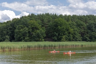 Canoes, Vilzsee, Mecklenburg Lake District, Mecklenburg-Western Pomerania, Germany