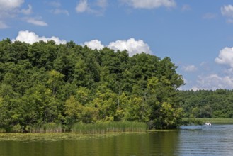 Trees, forest, boat, Mössensee, Mecklenburg Lake District, Mecklenburg-Western Pomerania, Germany