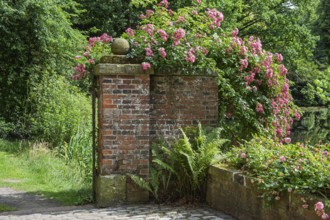 Brick wall and gate pillars covered with blooming roses and ferns in a tranquil natural setting,