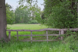 Altes Holzgatter, Münsterland, North Rhine-Westphalia, Germany