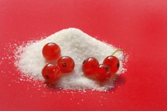 Redcurrants and piles of sugar