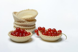 Redcurrant in cake tartlets, ready-made tartelette