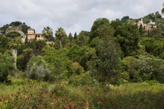 Botanical Garden, Giardino Hanbury, La Mortola, near Ventimiglia, Riviera dei Fiori, Liguria, Italy