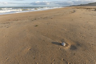 Soft golden sand stretches along the shore as gentle waves lap at the coastline during sunset,