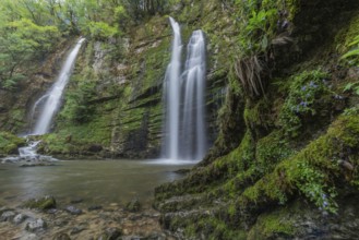 Two beautiful waterfalls flow gracefully into a tranquil pool lined with vibrant green foliage.
