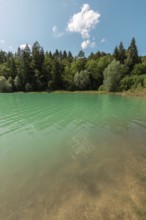 Turquoise-coloured water glistens in the sun, while green trees line the shore under a clear blue