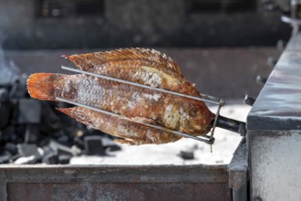 Grilling fish, Bangkok, Thailand