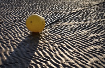 Buoy, yellow, on the sandy beach, Grandcamp-Maisy beach, low tide, evening light, Normandy,