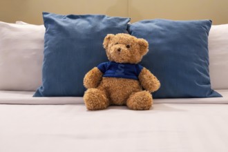 Double bed plush bear
