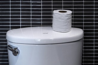 Bath cistern WC paper