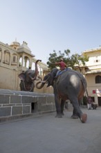 Living elephant sculptures in the City Palace, Udaipur, Rajasthan, India