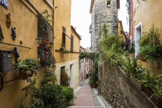 Alley, Menton, Alpes Maritimes, Provence Alpes Cote d'Azur, French Riviera, South of France, France