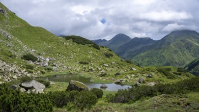 At the Kaltenbach lakes, Schladminger Tauern, Sölktäler nature park Park, St. Nikolei, Styria,