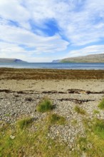 Fjord landscape with pebble beach, Skápadalur valley, coastline, Patreksfjördur, Vestfirðir,