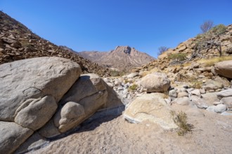 Tsisab Gorge, White Lady Trail, desert landscape with mountains, Brandberg, Erongo, Damaraland,