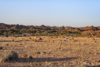 Desert landscape in the evening light at sunset, barren landscape with hills of stacked rocks,