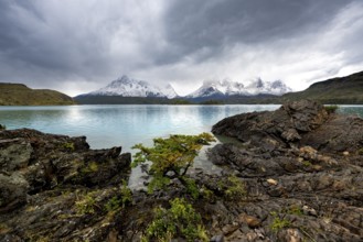 Cloudy mountain range Cuernos del Paine, shore of the blue lake Lago Pehoe in the evening light,