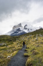 Hikers on a hiking trail to the Mirador de los Cuernos, Cuernos del Paine mountain range in autumn,