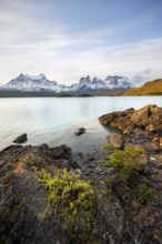Shore of the blue lake Lago Pehoe in the evening light, Cuernos del Paine mountain range, Torres