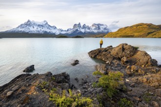 Young man on the shore of the blue lake Lago Pehoe in the evening light, Cuernos del Paine mountain