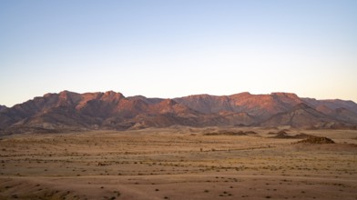 Desert landscape with Brandberg at sunrise, Erongo, Damaraland, Namibia