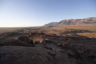 Desert landscape with Brandberg in the morning light, at sunrise, Erongo, Damaraland, Namibia