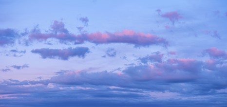 Background image for sky replacement, evening sky with pink clouds at dusk after sunset