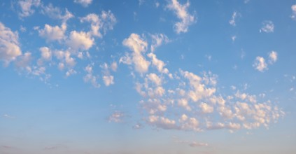 Background image for sky replacement, blue sky with loose white clouds in the evening light
