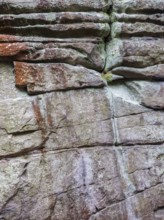 Detail of a weathered granite rock, Großer Haberstein, Fichtelgebirge, Upper Franconia, Bavaria,
