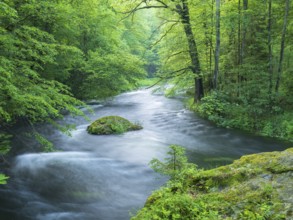 White water and rapids on the Trieb stream in the Triebtal nature reserve in Vogtland, Plauen,