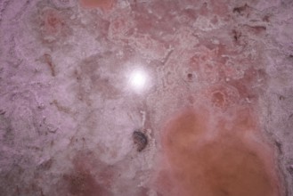 Salin-de-Giraud, Arles, France