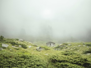 Alpine hut, Krimmler Tauern, Pinzgau, Salzburg, Austria