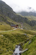 Mountain stream between alpine meadows with Martalm, Lazzacher Tal, Seven Lakes Hike, Stubai Alps,