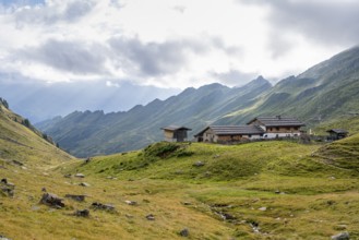 Alpine meadows with Martalm, Lazzacher Tal, Seven Lakes Hike, Stubai Alps, near Ridnaun, South
