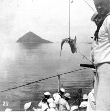 Sailors catch a tiger shark (Galeocerdo cuvier), ca. 1920s