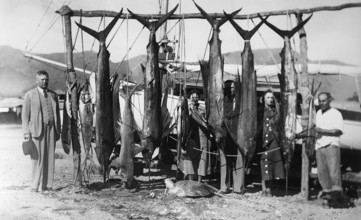 Fanfish (Istiophorus platypterus), sport fisherman Mexico, Acapulco de Juárez, 1925